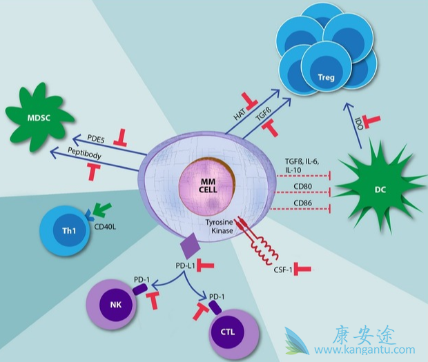 多发性骨髓瘤;骨髓瘤能活多久 多发性骨髓瘤;骨髓瘤能活多久