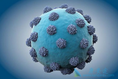 ���β���������ѪҺ����δ�Ⱦ���εģ�