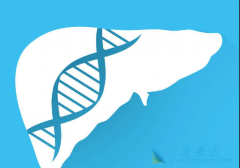 ���εĴ���;�����𣿱������κ���