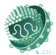 ���β���Σ�����𣿱������ƾ�������Щ�׶Σ�