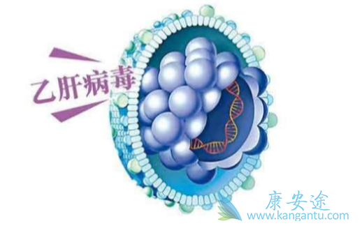 治疗乙肝;肝癌 治疗乙肝;肝癌