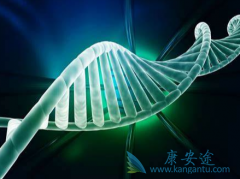 ���������������������Щ����