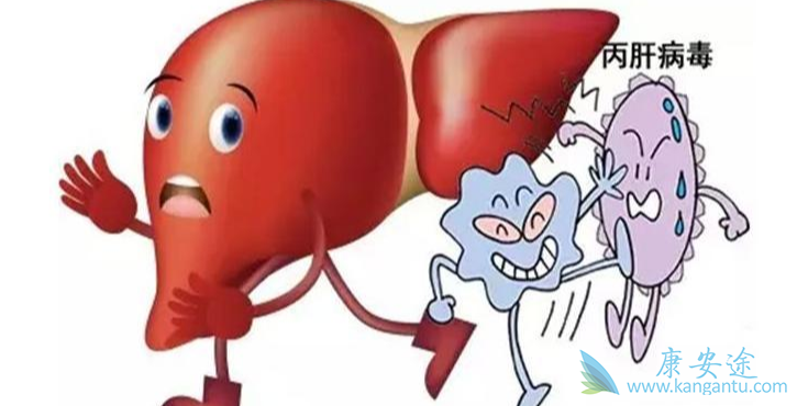 丙肝的类型;丙肝可以治愈 丙肝的类型;丙肝可以治愈