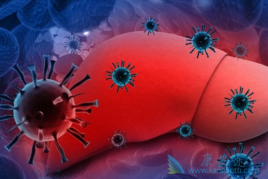 乙肝病毒 乙肝病毒