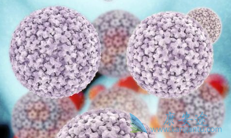 丙肝病毒;丙肝的传播途径 丙肝病毒;丙肝的传播途径