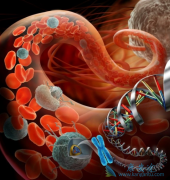 ����ҩ�Ǽ�ҩ��Ϊʲô��֢���߶���ѡ��ӡ�ȷ���ҩ��