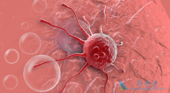 靶向治疗;肿瘤 靶向治疗;肿瘤