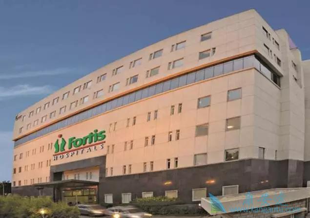 印度医疗旅游 印度医疗旅游