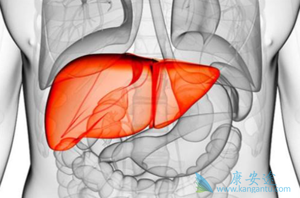 丙肝病毒携带者 丙肝病毒携带者