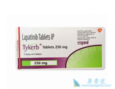 �����������Ӧ�Ժ���͡��ҩ������