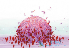 ���ٰ�Ӧ����ô���飿���ٰ����ܻᷢ����Щ����ת�ƣ�