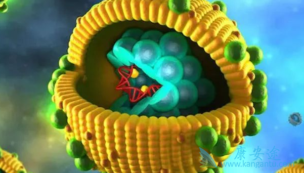 抗病毒治疗;乙肝病毒 抗病毒治疗;乙肝病毒