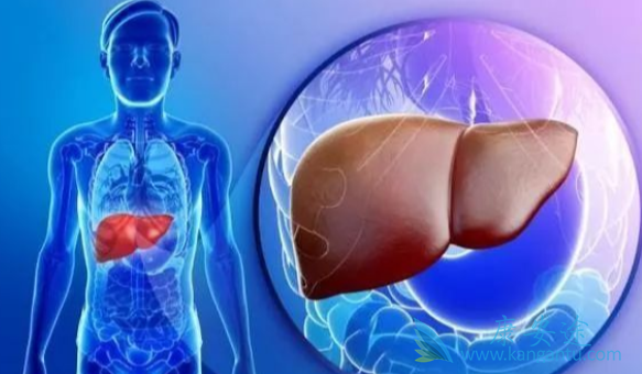 乙肝的传播途径;抗病毒治疗 乙肝的传播途径;抗病毒治疗