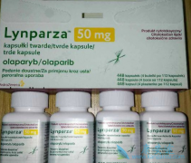 ��������(Olaparib)�Զ఩�ֵ���������