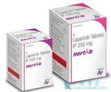 ��������/Lapatinib���ںܶ໼����˵��һ����ҩ