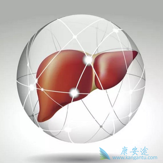 乙肝病毒;治疗乙肝 乙肝病毒;治疗乙肝