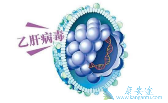 乙肝病毒;乙肝会传染吗 乙肝病毒;乙肝会传染吗