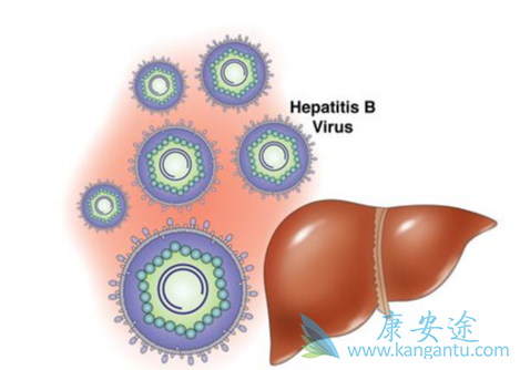 乙肝阳性;乙肝病毒 乙肝阳性;乙肝病毒
