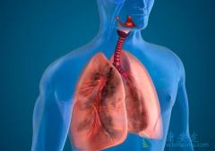 �ΰ�egfr�е���ҩ����EGFR���Ƽ�������ô�죿