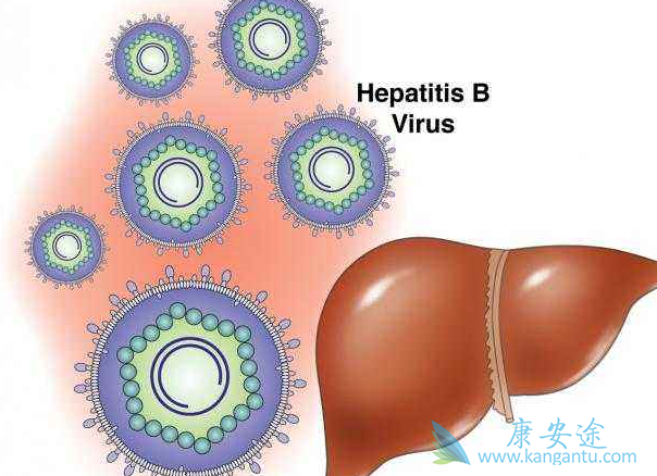 乙型肝炎 乙型肝炎