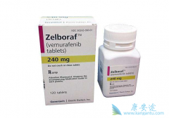 ���޷����ܼ�����ɫ����������