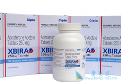 ��������(Abiraterone)������-223�������ƹ�ת�ƻ�����