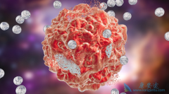 ����������������������������