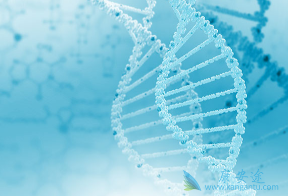 丙肝传播途径 丙肝传播途径