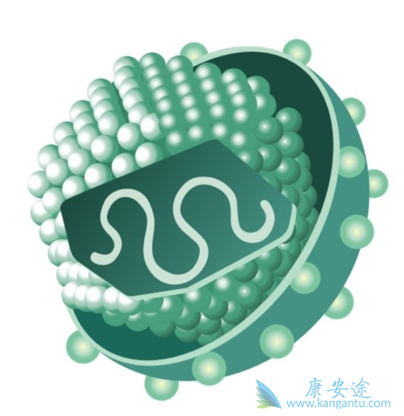 丙肝会传染吗 丙肝会传染吗