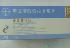 ӡ�ȶ༪��/��������Ƭ�ǹ����õıȽ϶�İ汾