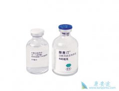 ����͡��������HER2����������Ч����