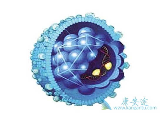 乙肝两对半对照表 乙肝两对半对照表