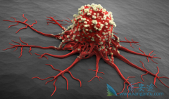 ��������ô�����ģ�ԭ��ҩ�ܹ���ô�죿