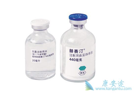 赫赛汀说明书 赫赛汀说明书