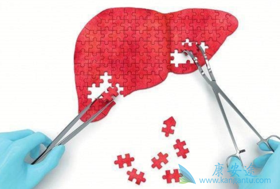 丙肝病毒 丙肝病毒