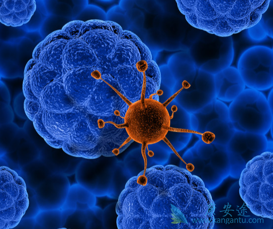 丙肝病毒 丙肝病毒