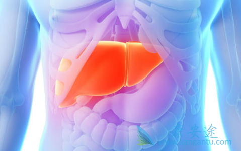 丙肝治疗 丙肝治疗
