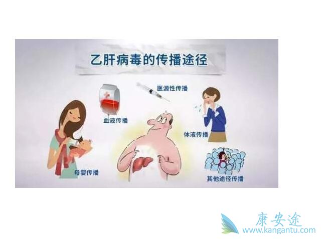 病毒传播 病毒传播