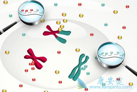 靶向治疗 靶向治疗