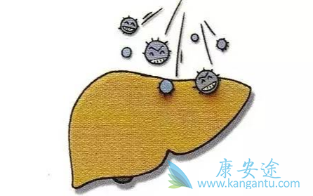 丙肝病毒 丙肝病毒