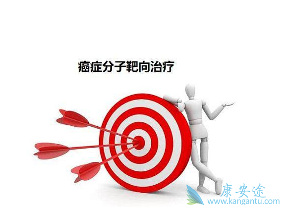 靶向治疗 靶向治疗