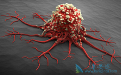 ��Сϸ���ΰ��ǰ�֢��������Ҫԭ����