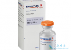 ������/������������III�ڷΰ�����Ч