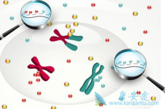 �ΰ����Ƶİ���ҩ������Щ��