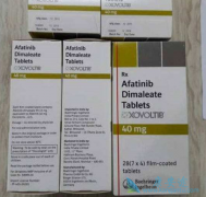 �ΰ�EGFRҩ�ﰢ��������ʹ����������������