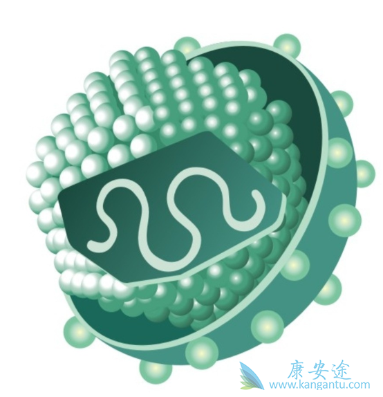 抗病毒药物 抗病毒药物