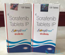 ӡ�ȶ༪���������ڸΰ���Ч����