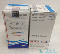 ӡ�ȶ༪���������ڸΰ���Ч����Σ�