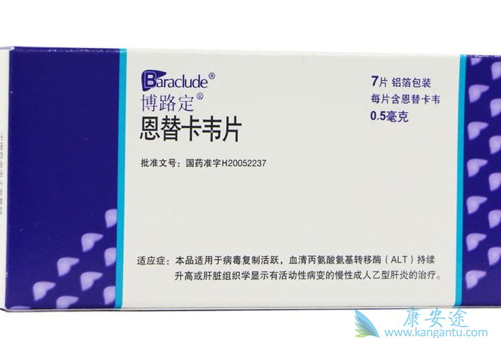 恩替卡韦片 恩替卡韦片