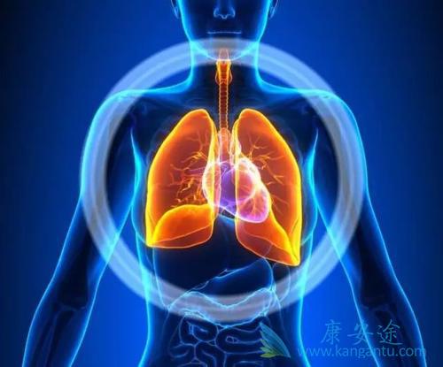 肺癌 肺癌